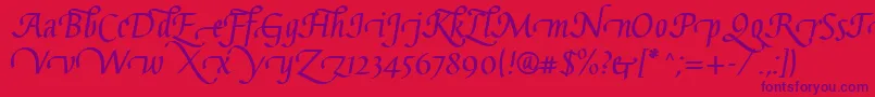 GaiusLtBoldSwashBeginning Font – Purple Fonts on Red Background