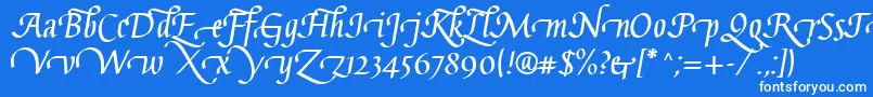 GaiusLtBoldSwashBeginning Font – White Fonts on Blue Background