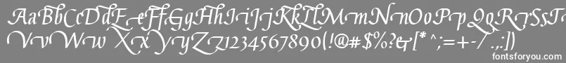 GaiusLtBoldSwashBeginning Font – White Fonts on Gray Background