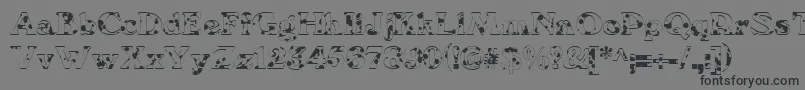 We6Db Font – Black Fonts on Gray Background