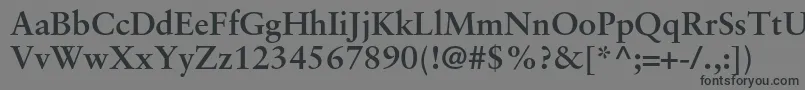 フォントSabonltstdBold – 黒い文字の灰色の背景