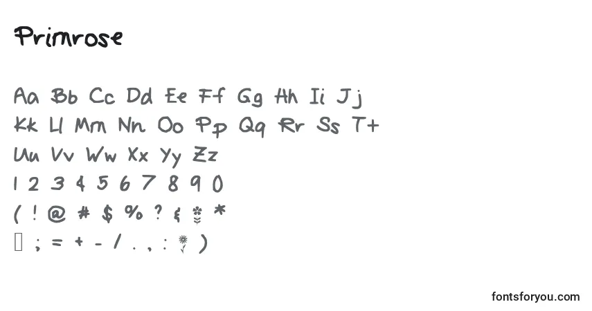 A fonte Primrose – alfabeto, números, caracteres especiais