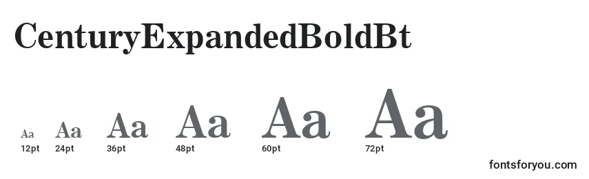 CenturyExpandedBoldBt Font Sizes