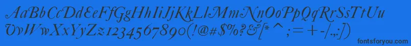 FcaslonfortytwoaltsitcTt Font – Black Fonts on Blue Background