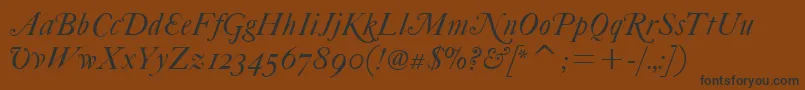 FcaslonfortytwoaltsitcTt Font – Black Fonts on Brown Background