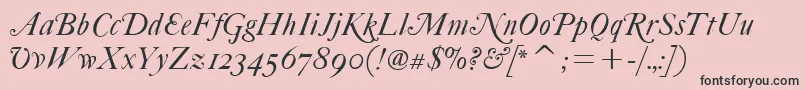 FcaslonfortytwoaltsitcTt Font – Black Fonts on Pink Background