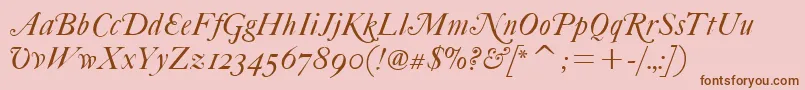 FcaslonfortytwoaltsitcTt Font – Brown Fonts on Pink Background