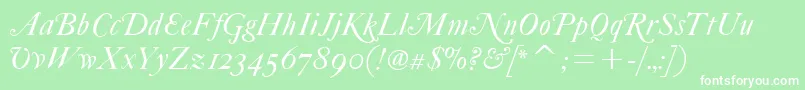 FcaslonfortytwoaltsitcTt Font – White Fonts on Green Background