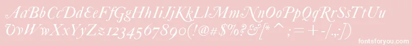 FcaslonfortytwoaltsitcTt Font – White Fonts on Pink Background