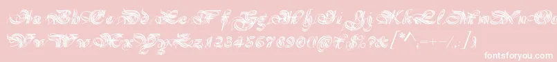 Magnificat Font – White Fonts on Pink Background