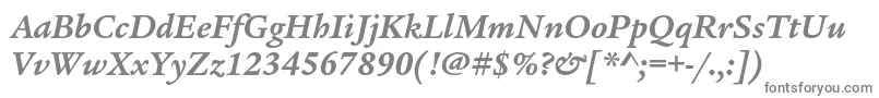フォントLegacyserifstdBolditalic – 白い背景に灰色の文字