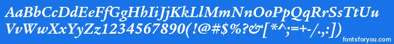 LegacyserifstdBolditalic Font – White Fonts on Blue Background