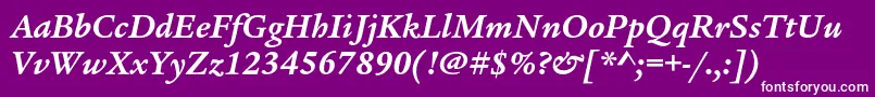 LegacyserifstdBolditalic Font – White Fonts on Purple Background