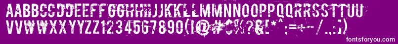 Boycott ffy Font – White Fonts on Purple Background