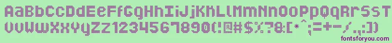 MiNuevoDisplaySt Font – Purple Fonts on Green Background