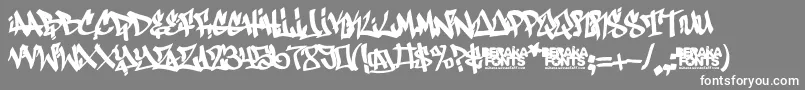 Antifont Font – White Fonts on Gray Background