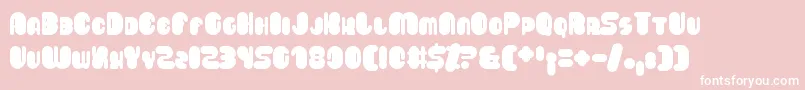 Saveloy Font – White Fonts on Pink Background