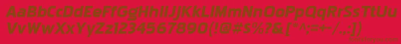 PakenhamxpblItalic Font – Brown Fonts on Red Background