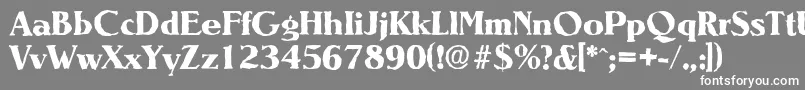 フォントNevadaantiqueXboldRegular – 灰色の背景に白い文字