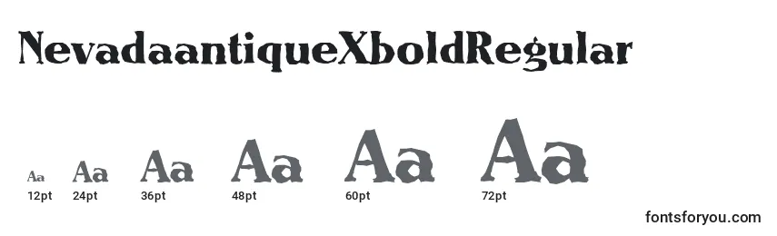 Размеры шрифта NevadaantiqueXboldRegular