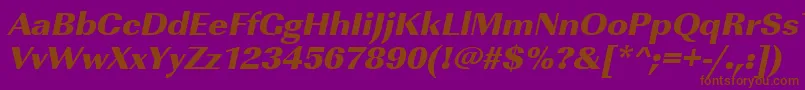 UrwimperialtultbolwidOblique Font – Brown Fonts on Purple Background