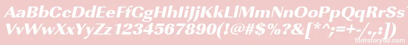 UrwimperialtultbolwidOblique Font – White Fonts on Pink Background