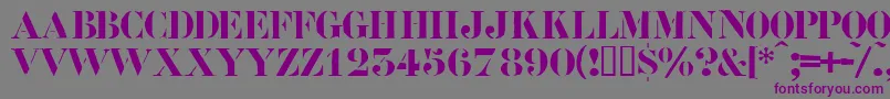 Roadcase Font – Purple Fonts on Gray Background