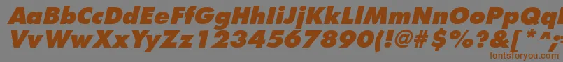Шрифт FuturistextraboldItalic – коричневые шрифты на сером фоне
