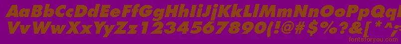 フォントFuturistextraboldItalic – 紫色の背景に茶色のフォント