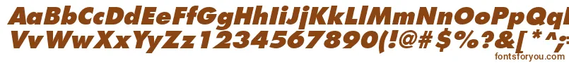 FuturistextraboldItalic-fontti – ruskeat fontit valkoisella taustalla