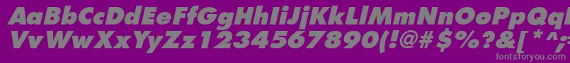 FuturistextraboldItalic-Schriftart – Graue Schriften auf violettem Hintergrund