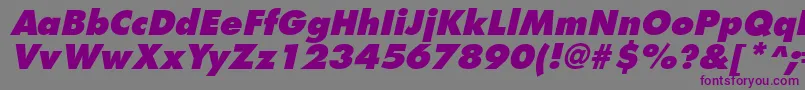 フォントFuturistextraboldItalic – 紫色のフォント、灰色の背景