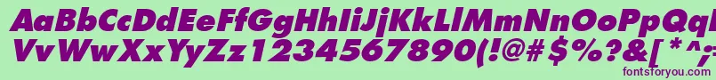 フォントFuturistextraboldItalic – 緑の背景に紫のフォント