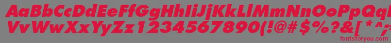 FuturistextraboldItalic-Schriftart – Rote Schriften auf grauem Hintergrund