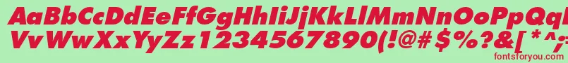 フォントFuturistextraboldItalic – 赤い文字の緑の背景