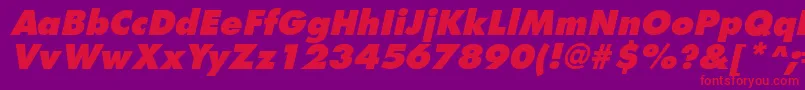 FuturistextraboldItalic Font – Red Fonts on Purple Background