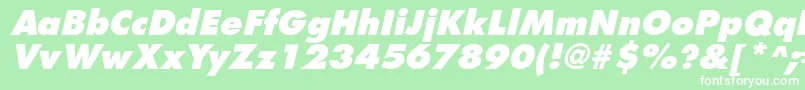 FuturistextraboldItalic Font – White Fonts on Green Background