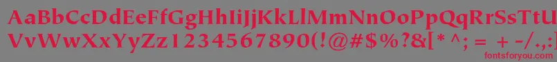 TiepolostdBlack Font – Red Fonts on Gray Background