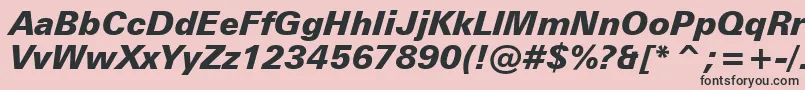 ZurichBlackItalicBt-Schriftart – Schwarze Schriften auf rosa Hintergrund