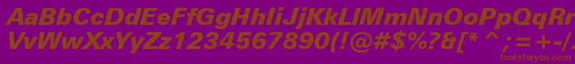 ZurichBlackItalicBt Font – Brown Fonts on Purple Background