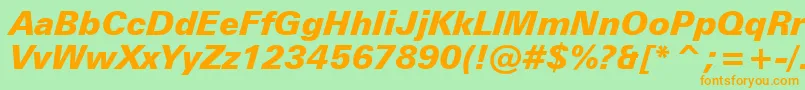 ZurichBlackItalicBt Font – Orange Fonts on Green Background