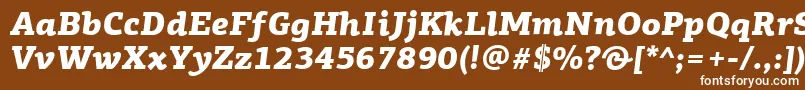 Czcionka PfagoraslabproBlackitalic – białe czcionki na brązowym tle