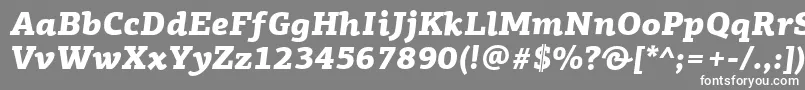 Czcionka PfagoraslabproBlackitalic – białe czcionki na szarym tle