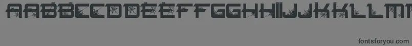 Spiderfont Font – Black Fonts on Gray Background