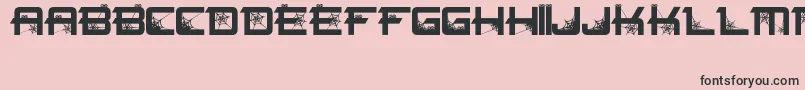 Spiderfont Font – Black Fonts on Pink Background