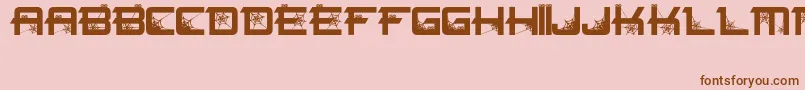 Spiderfont Font – Brown Fonts on Pink Background