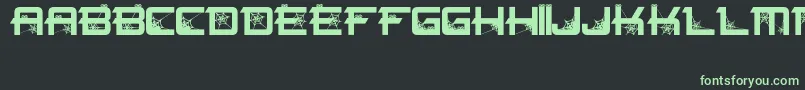 Spiderfont Font – Green Fonts on Black Background