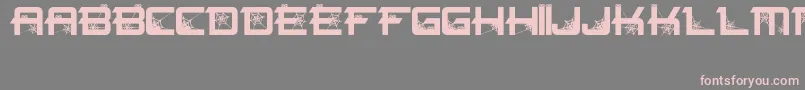 Spiderfont Font – Pink Fonts on Gray Background