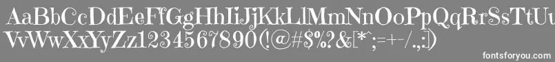 EmilyscandyRegular Font – White Fonts on Gray Background