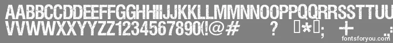 More about Viper Font Viper Font – White Fonts on Gray Background